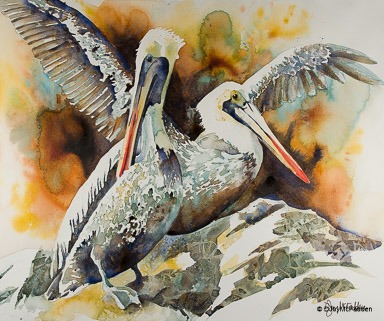 Yaquina Head Pelicans
