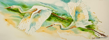 Egrets in Flight